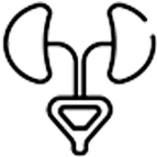 Urology