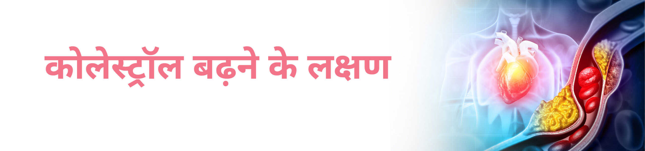 CK Birla Hospital