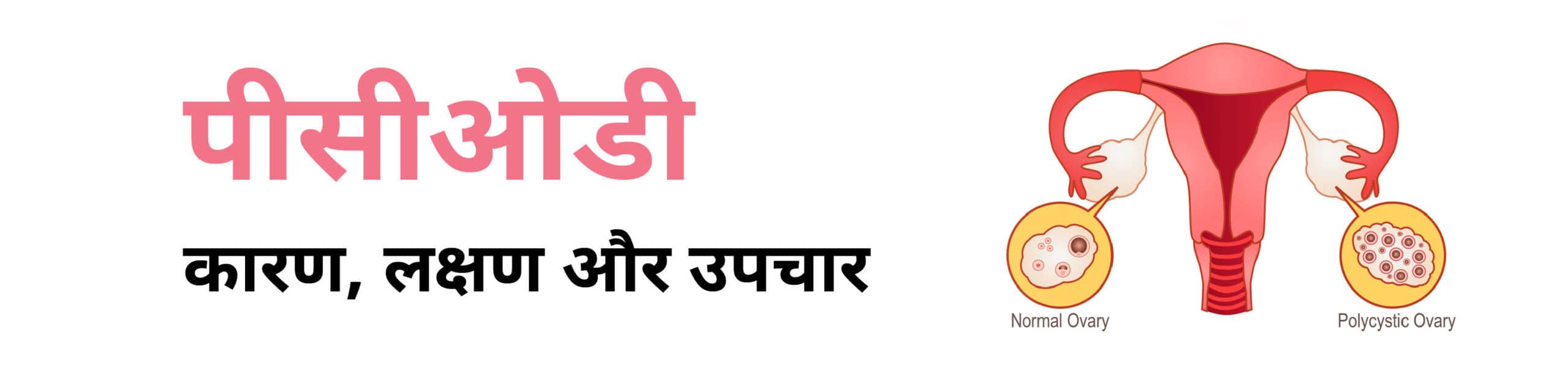 CK Birla Hospital