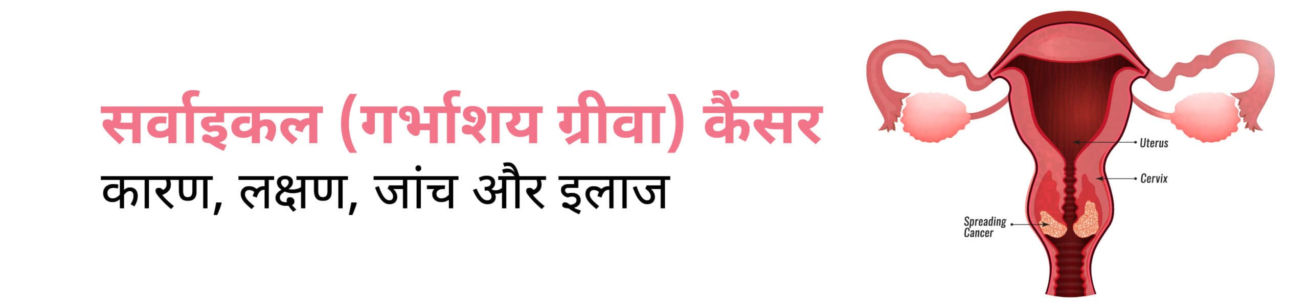 CK Birla Hospital