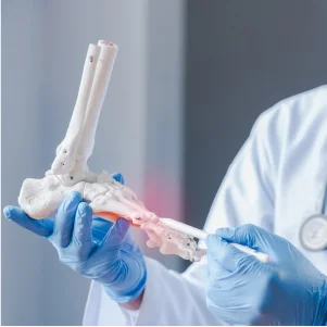Orthopaedics