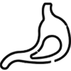 Gastroenterology
