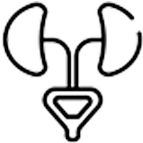 Urology
