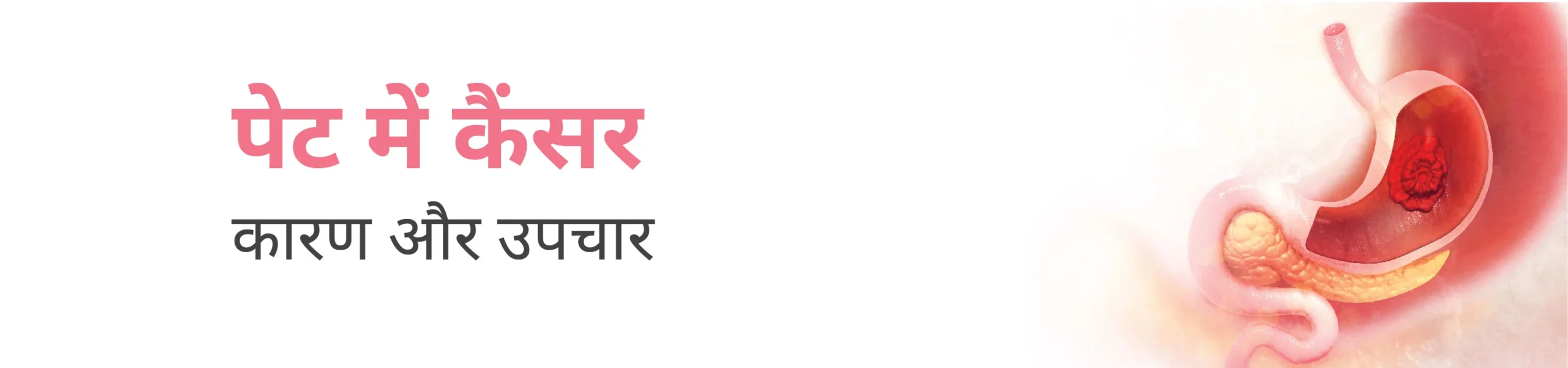 CK Birla Hospital