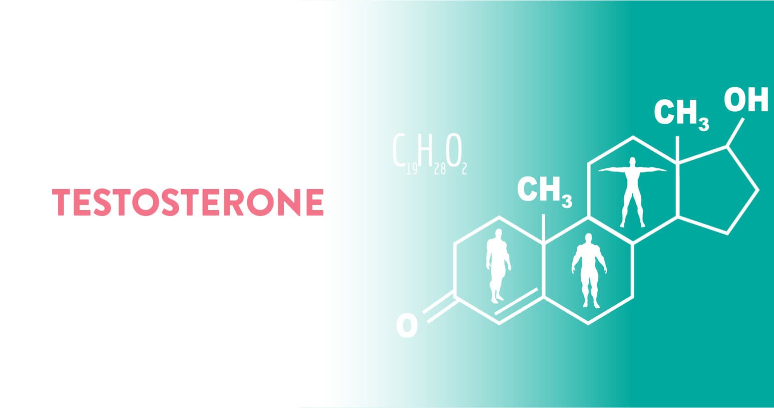 Testosterone