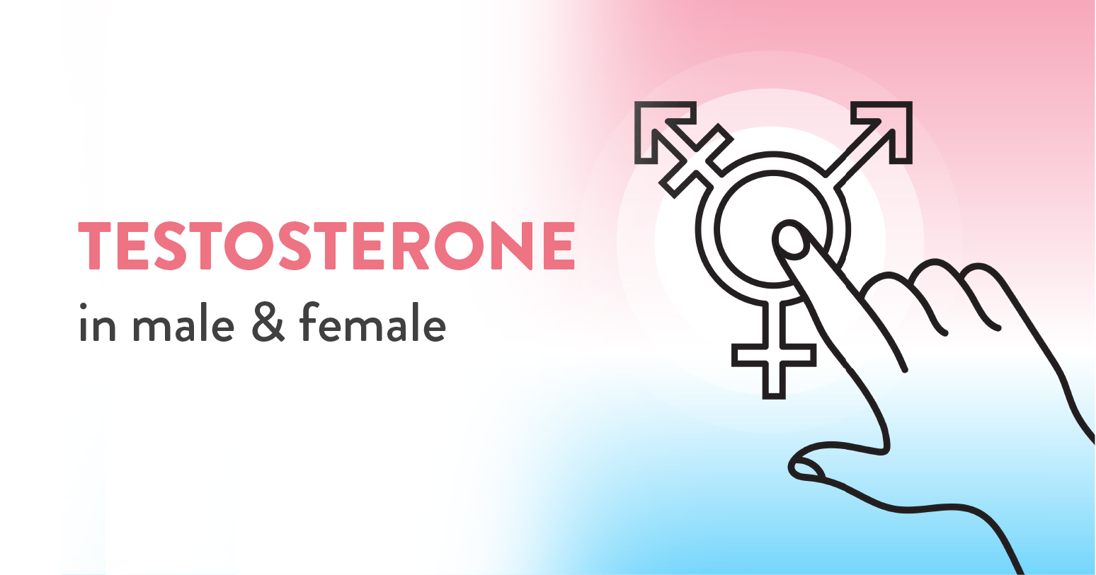 Testosterone in Male & Females