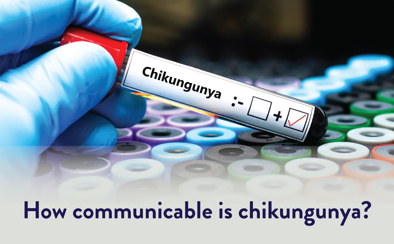 CK Birla Hospital