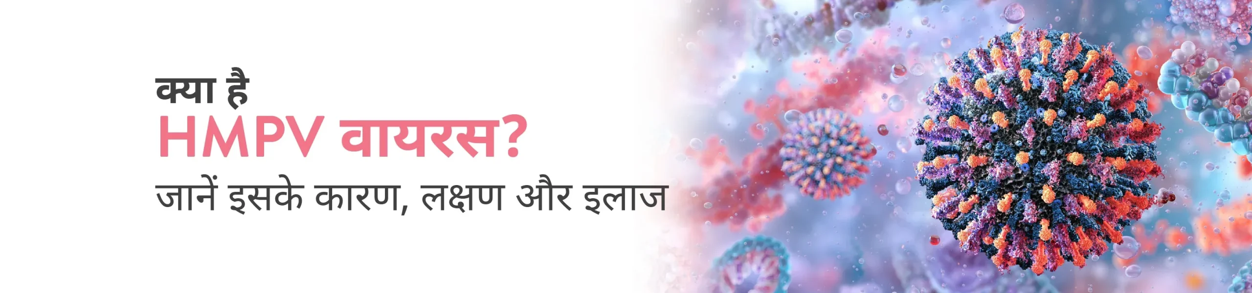 CK Birla Hospital