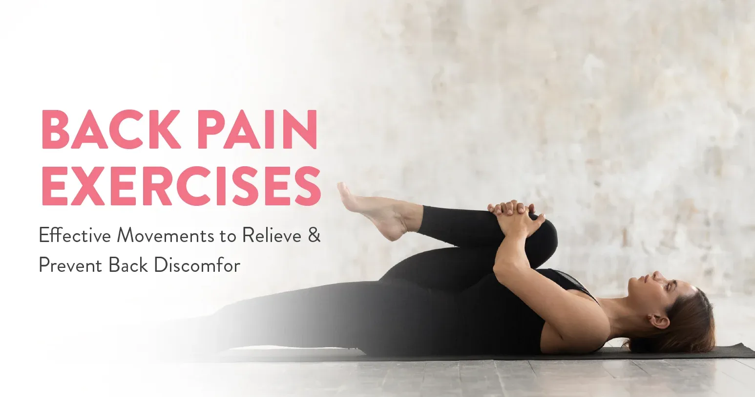 Back Pain Exercises: Effective Movements to Relieve and Prevent Back Discomfort