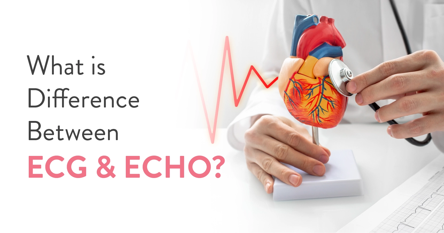 What is the Difference Between ECG and Echo?