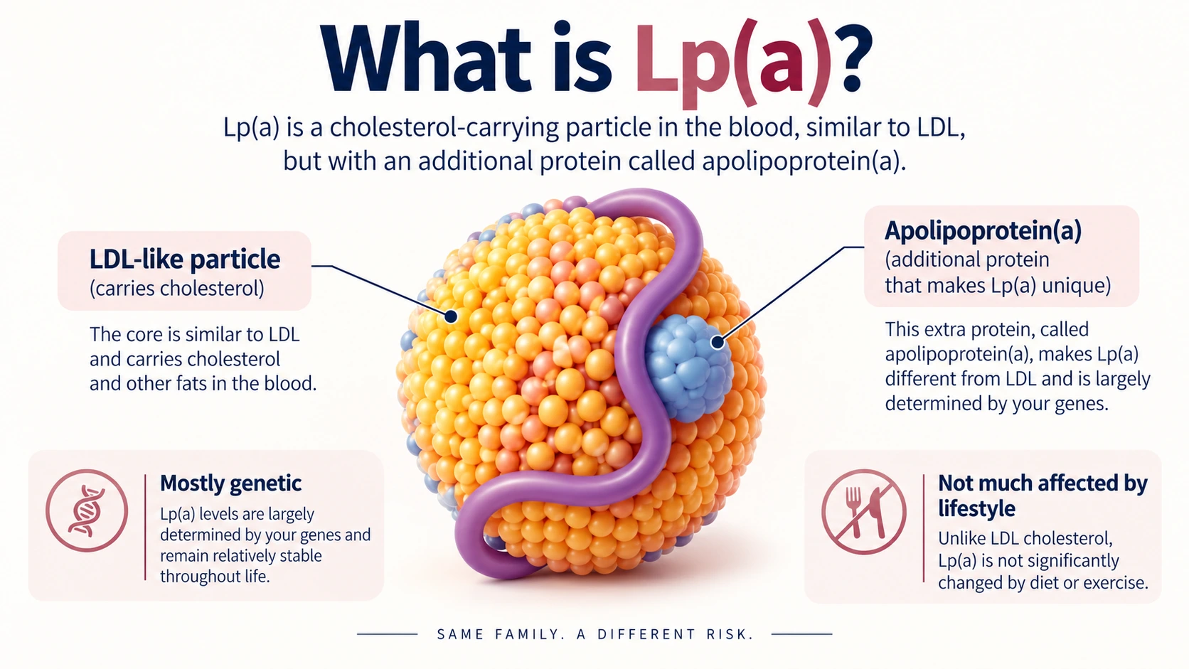 What is LP(a)?