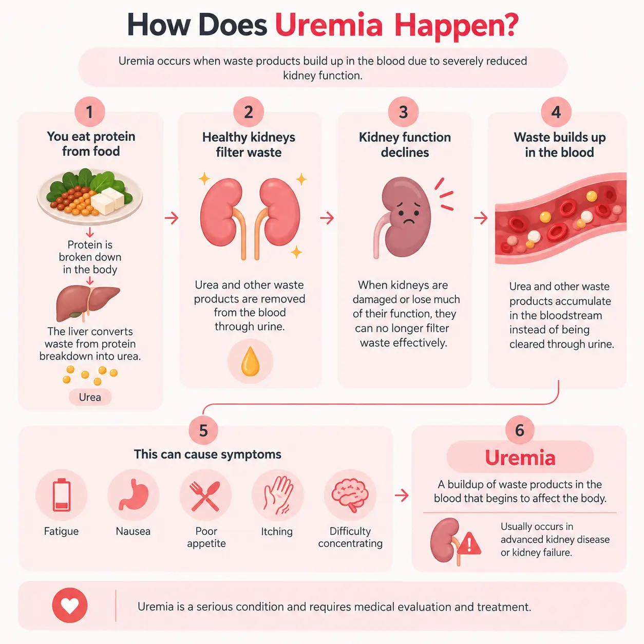 How does uremia happen