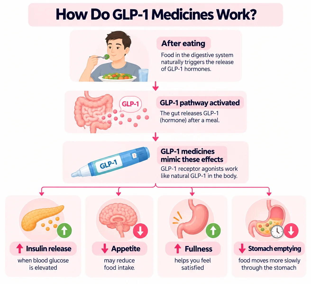 How GLP-1 Medicines Work